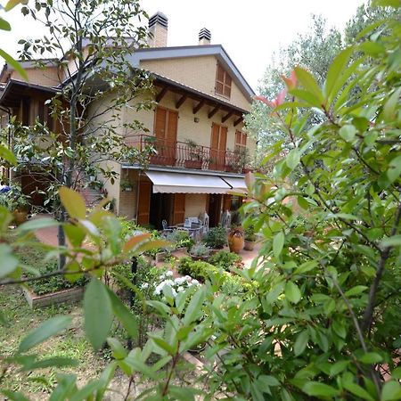 B&B Casa Cettina Macerata Exteriör bild
